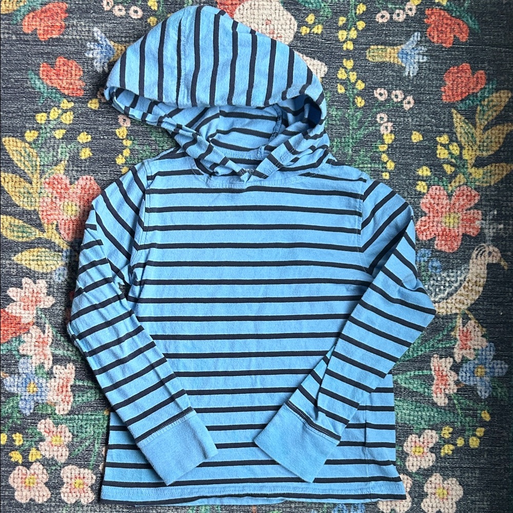 Crewcuts Boys Hooded Striped Long-Sleeve Tee, Size Small